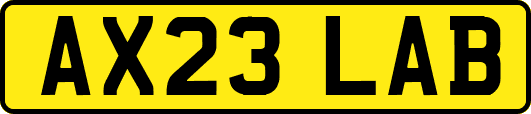 AX23LAB