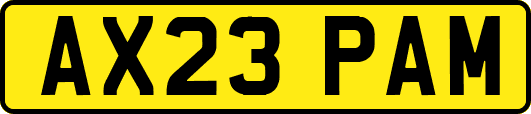 AX23PAM