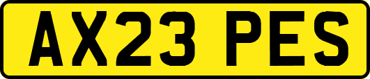 AX23PES