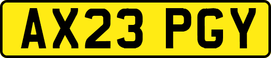 AX23PGY