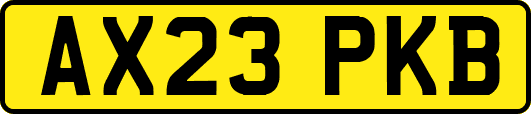 AX23PKB