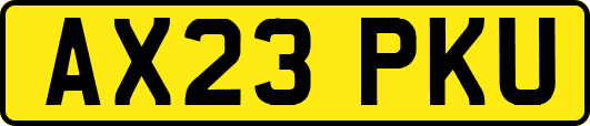 AX23PKU