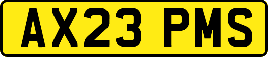 AX23PMS