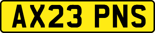 AX23PNS