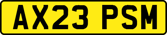 AX23PSM