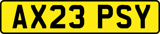 AX23PSY