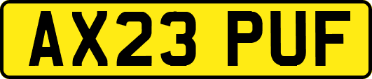 AX23PUF