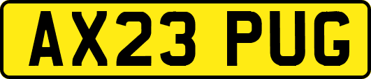 AX23PUG