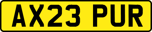 AX23PUR