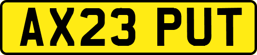 AX23PUT