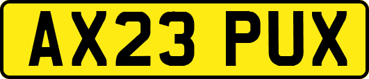 AX23PUX