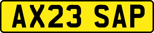 AX23SAP