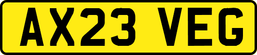 AX23VEG