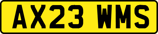 AX23WMS