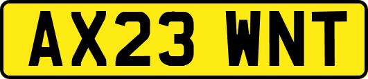 AX23WNT
