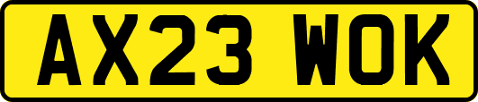 AX23WOK