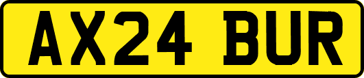 AX24BUR
