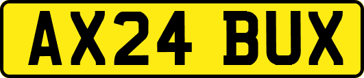 AX24BUX