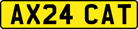 AX24CAT