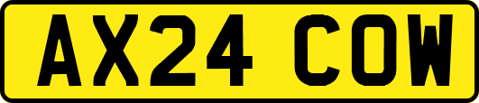 AX24COW