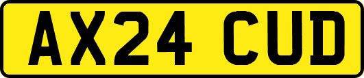 AX24CUD