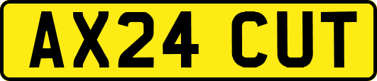 AX24CUT