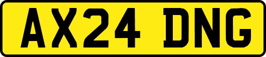 AX24DNG