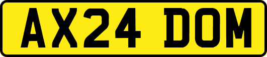 AX24DOM