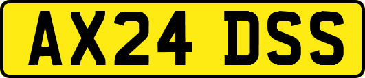 AX24DSS