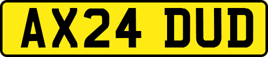 AX24DUD