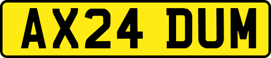 AX24DUM