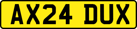 AX24DUX