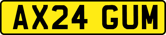 AX24GUM