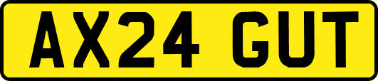 AX24GUT