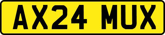 AX24MUX
