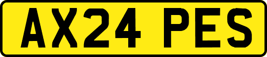 AX24PES
