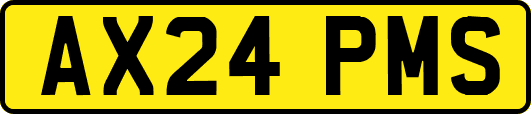 AX24PMS