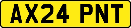AX24PNT