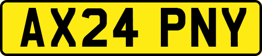 AX24PNY