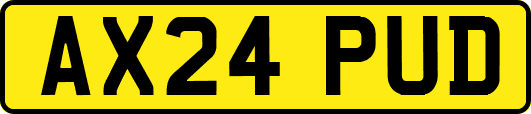 AX24PUD