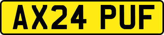 AX24PUF