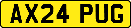 AX24PUG