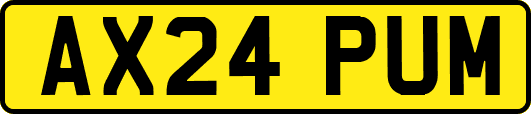 AX24PUM