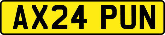 AX24PUN