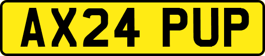 AX24PUP