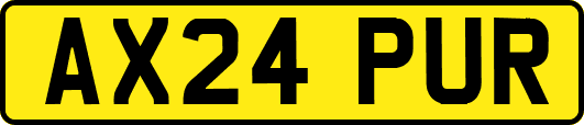 AX24PUR