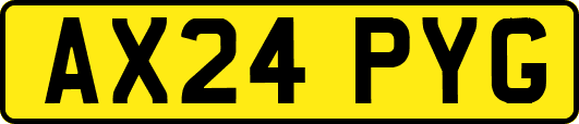 AX24PYG