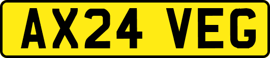 AX24VEG