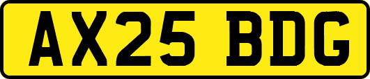AX25BDG