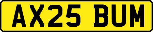 AX25BUM
